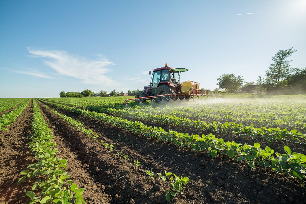 Using Herbicides for Weed Control CRP