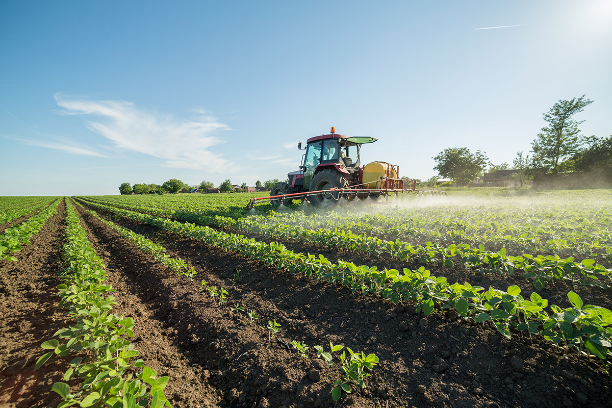 When is an Herbicide Necessary for Weed Control? - All Native Seed, LLC