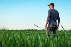 How to See Your CRP Crop Grow in Your First Year