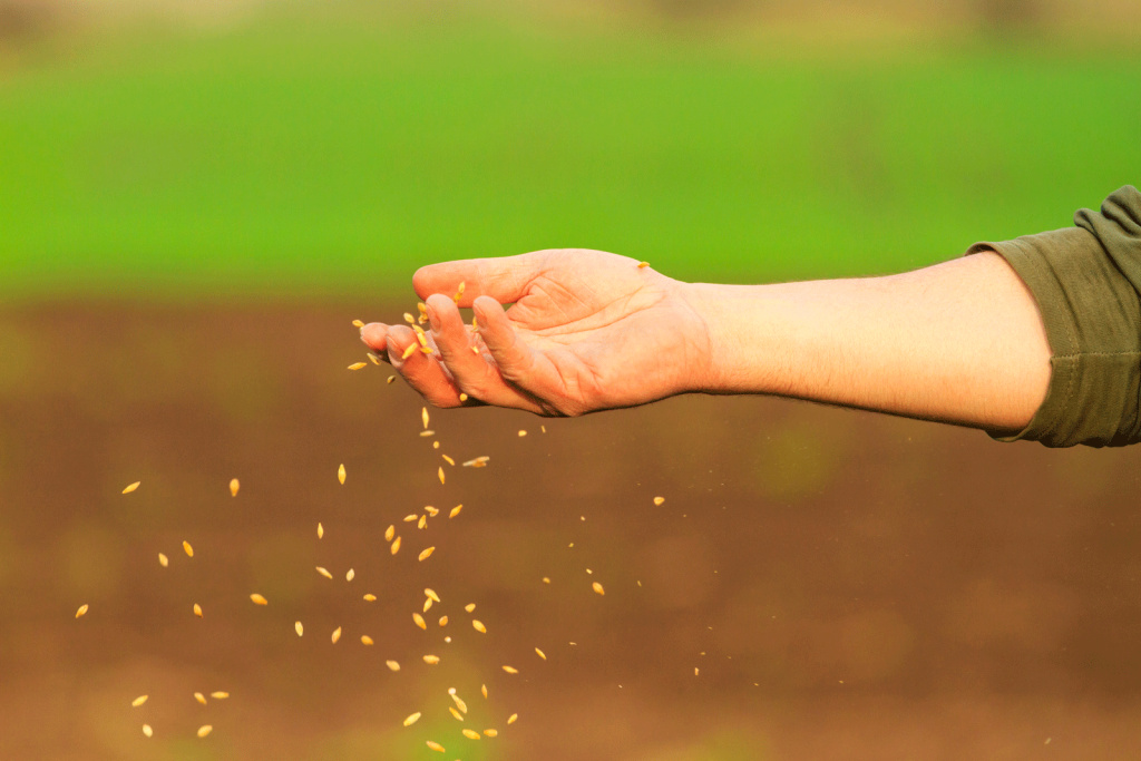 How to Improve CRP Success Rates with Proper Site Preparation