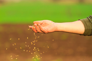 How to Improve CRP Success Rates with Proper Site Preparation