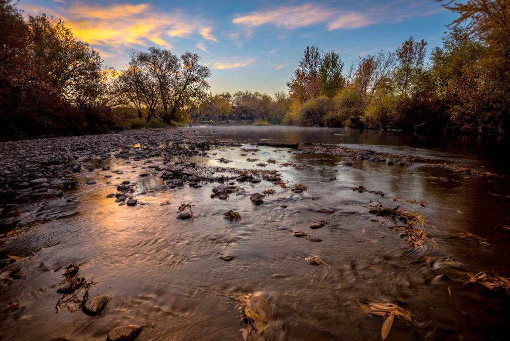 How CRP Helps Reduce Agricultural Runoff and Improve Water Quality 