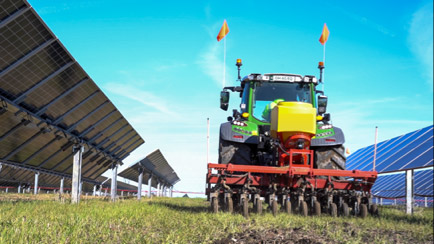 How Coated Seeds Improve Establishment in Challenging Environments